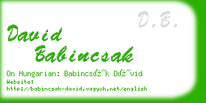 david babincsak business card